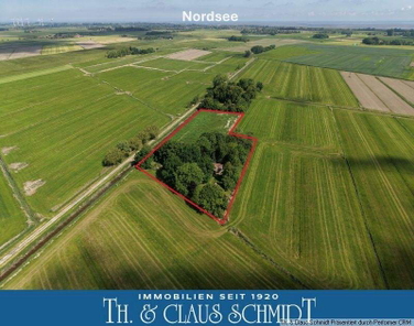 Traumhafte Naturlage nahe der Nordsee