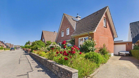 Bienenparadies im Vorgarten