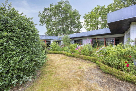 Garten (2)