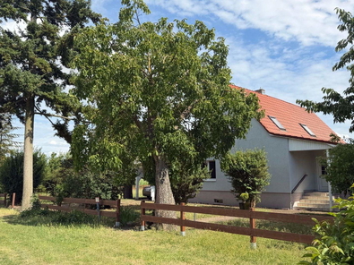 Von vorne
