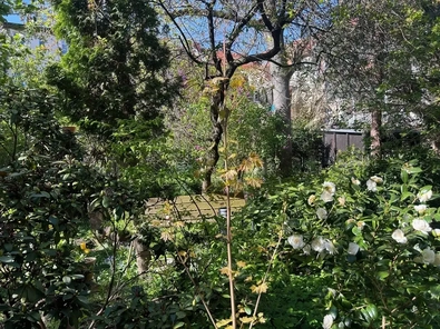 rückwärtiger Garten