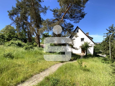 Ansicht mit Garten