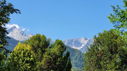 Alp- und Zugspitzblick