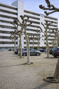 Frinansicht