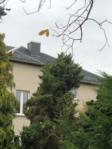 Seitenansicht.jpg