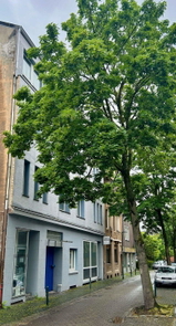 Straßenseite