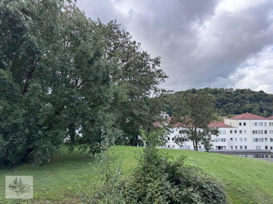 Blick in den Garten