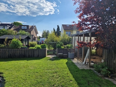 Blick in den Garten