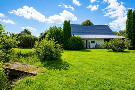 garten mit teich 3.jpeg