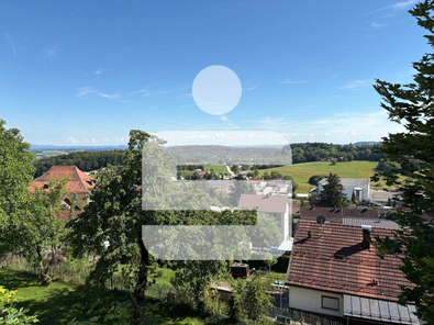 Ausblick