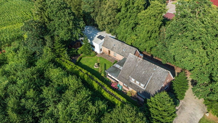Luftaufnahme