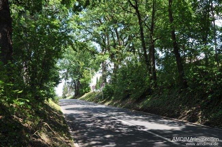 Zufahrt nach Buchenbühl