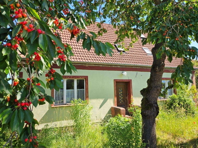 Blick zum Haus!.jpg