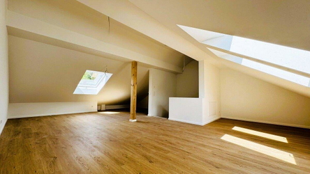 Dachstudio