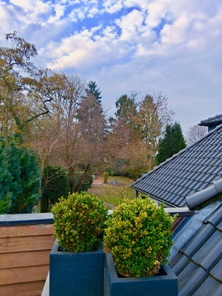 Blick von der Dachterrasse