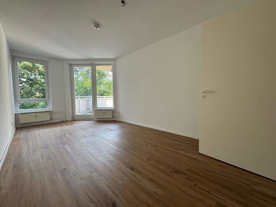 Zimmer1