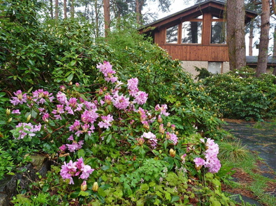 Sommerimpression