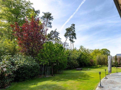 Garten Ausschnitt