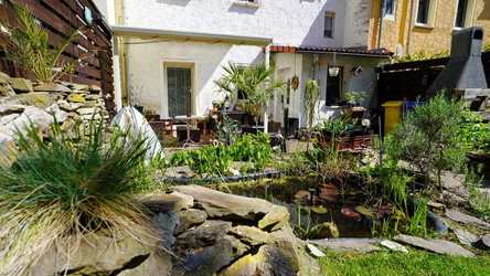 Kleine, aber grüne Idylle in bester Stadtlage