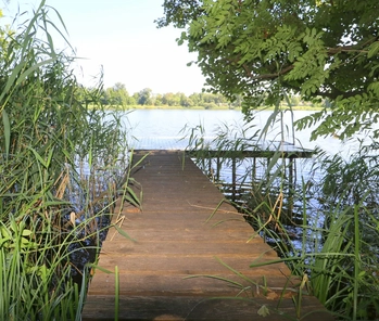 Detail am See