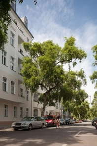 Ansicht Straße