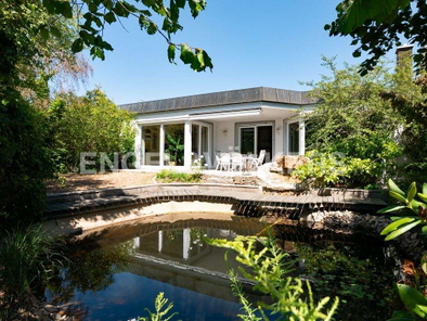Schwimmteich mit Quellstein