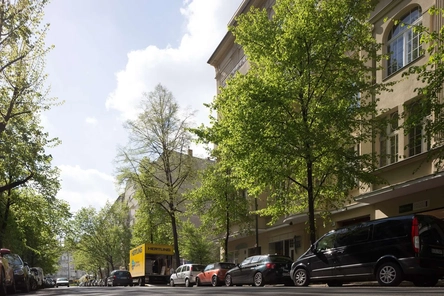 Ansicht Straße