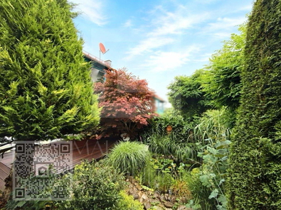 Ansicht Garten