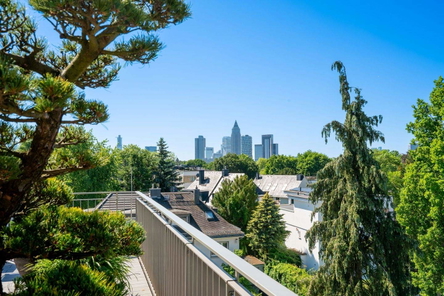Rooftop Skyline