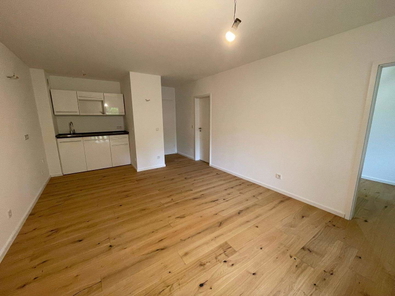 Großes Wohnzimmer mit Küchenzeile