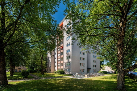 Begrünter Zugangsbereich