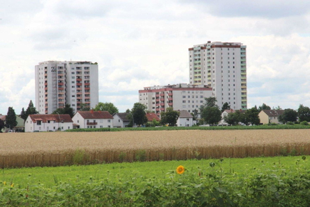 Heddesheim