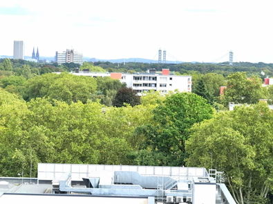 Domblick.jpg