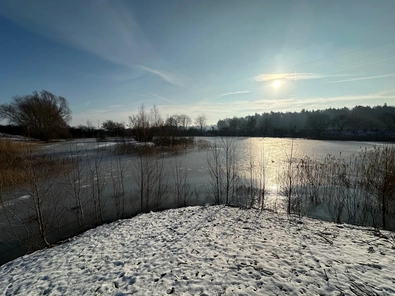 Blick über die Teiche