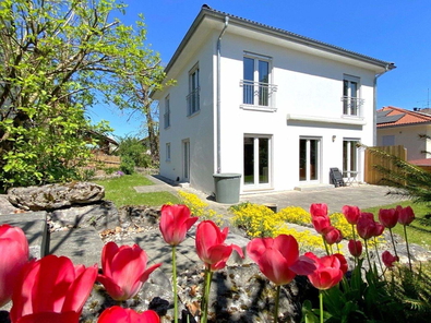 EFH in Aßling