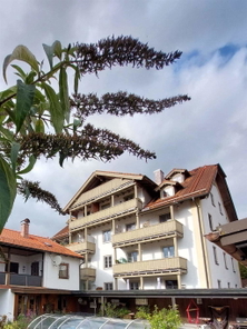 Wohnanlage Südseite