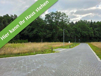 Poitzen_1.jpg