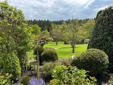 Blick in den Garten