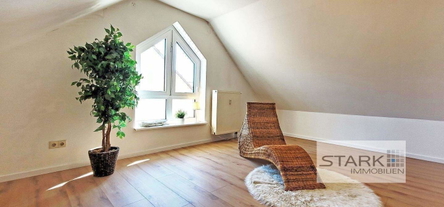 DG Studio.jpg