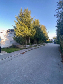 Haus   am Seee 4.jpg