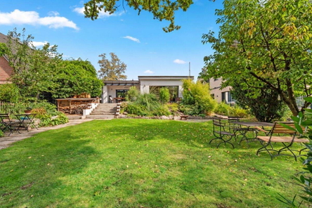 Eingewachsener Garten mit Blick auf den Bungalow