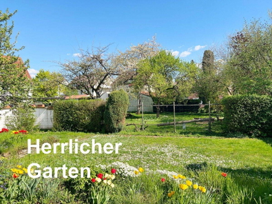 Blick in den Garten