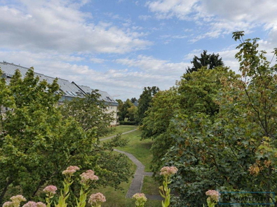Blick in den Garten