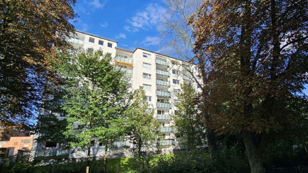 Bild1