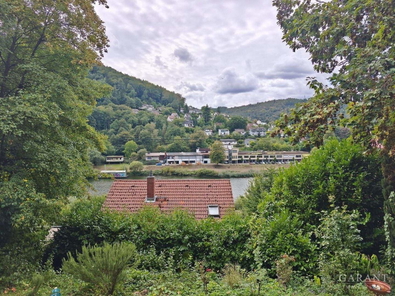 Ausblick