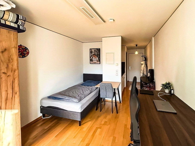 Blick von Loggia in den Raum