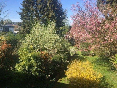 Ausblick in den Garten