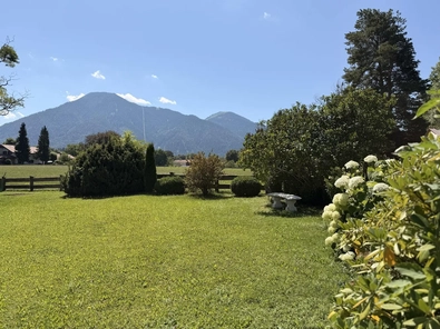 Ausblick