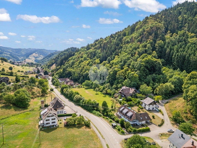 Blick ins Münstertal