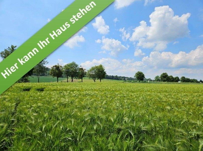 Bennigsen_1.jpg